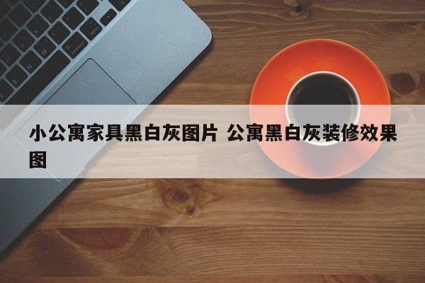 小公寓家具黑白灰图片 公寓黑白灰装修效果图