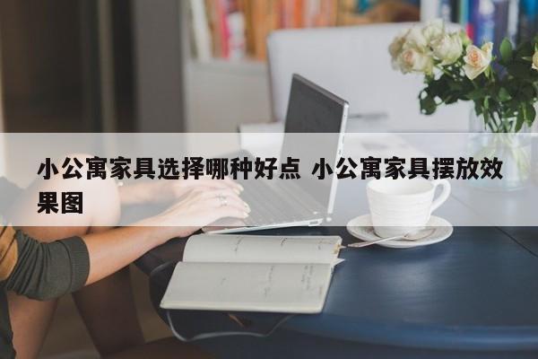 小公寓家具选择哪种好点 小公寓家具摆放效果图