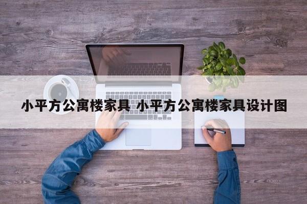 小平方公寓楼家具 小平方公寓楼家具设计图