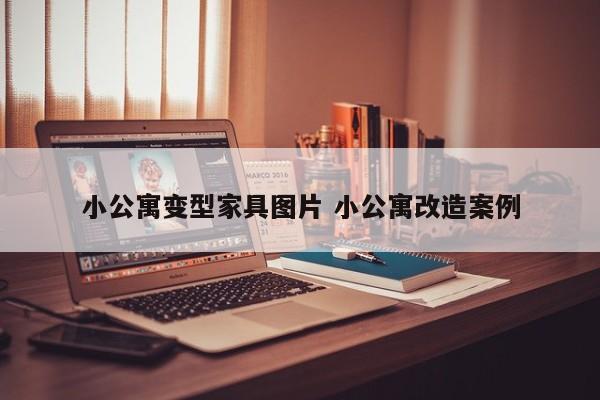 小公寓变型家具图片 小公寓改造案例