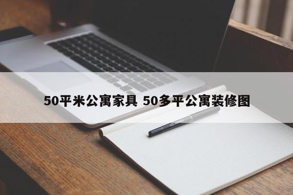 50平米公寓家具 50多平公寓装修图