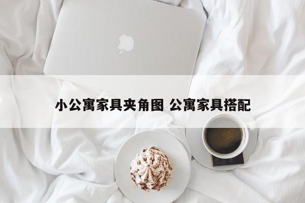 小公寓家具夹角图 公寓家具搭配