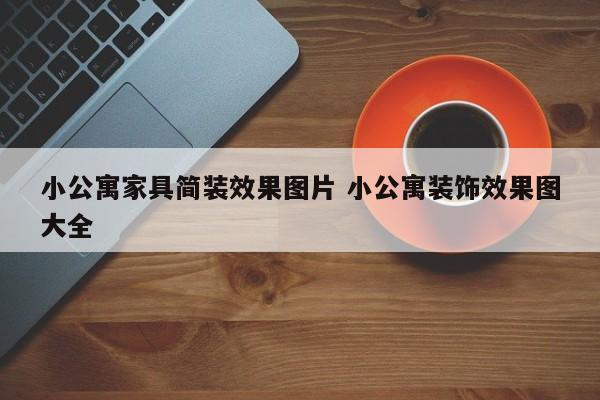 小公寓家具简装效果图片 小公寓装饰效果图大全