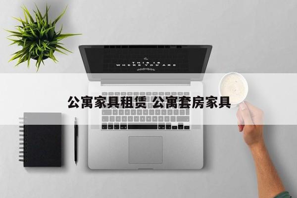 公寓家具租赁 公寓套房家具