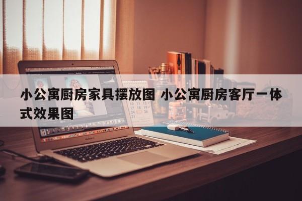 小公寓厨房家具摆放图 小公寓厨房客厅一体式效果图