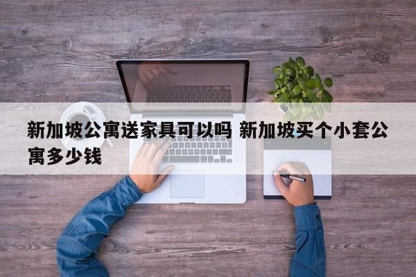 新加坡公寓送家具可以吗 新加坡买个小套公寓多少钱