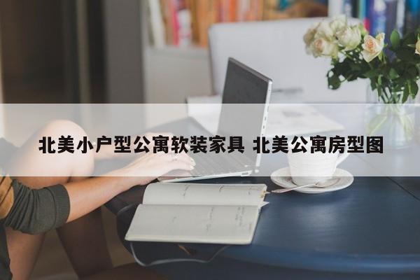 北美小户型公寓软装家具 北美公寓房型图