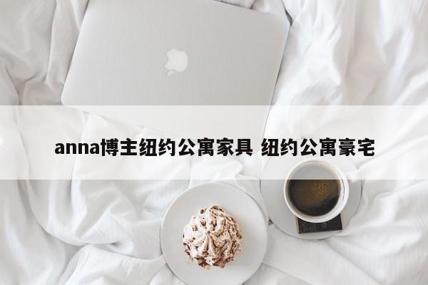 anna博主纽约公寓家具 纽约公寓豪宅