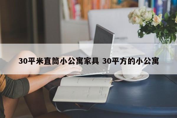 30平米直筒小公寓家具 30平方的小公寓