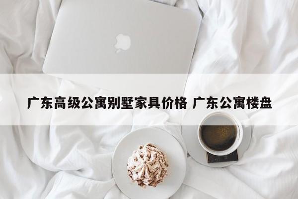 广东高级公寓别墅家具价格 广东公寓楼盘