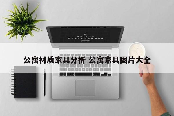 公寓材质家具分析 公寓家具图片大全