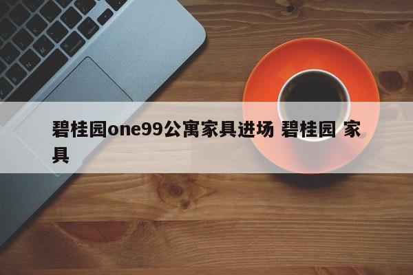 碧桂园one99公寓家具进场 碧桂园 家具