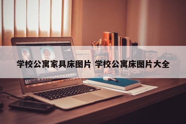 学校公寓家具床图片 学校公寓床图片大全