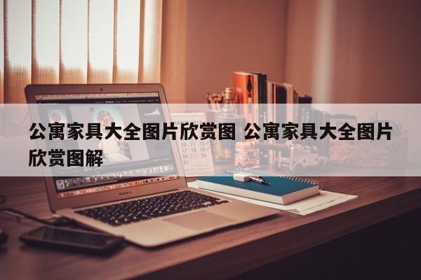 公寓家具大全图片欣赏图 公寓家具大全图片欣赏图解