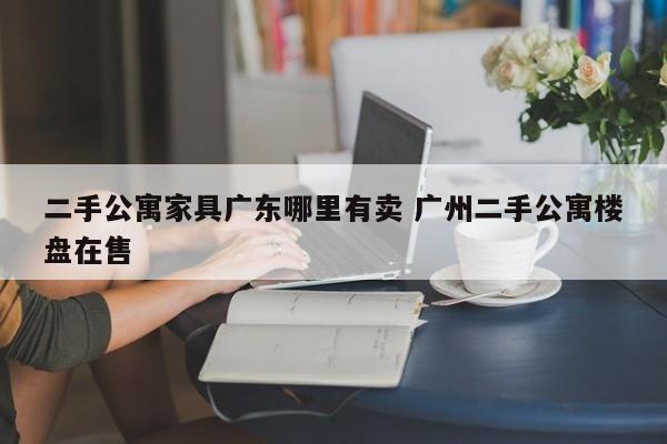 二手公寓家具广东哪里有卖 广州二手公寓楼盘在售