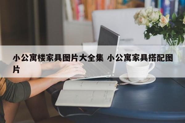 小公寓楼家具图片大全集 小公寓家具搭配图片