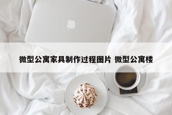 微型公寓家具制作过程图片 微型公寓楼