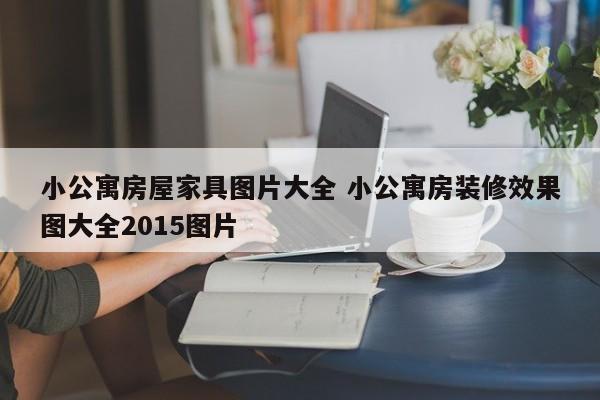 小公寓房屋家具图片大全 小公寓房装修效果图大全2015图片