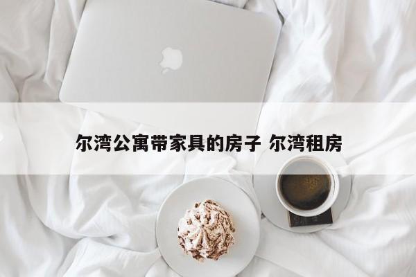 尔湾公寓带家具的房子 尔湾租房