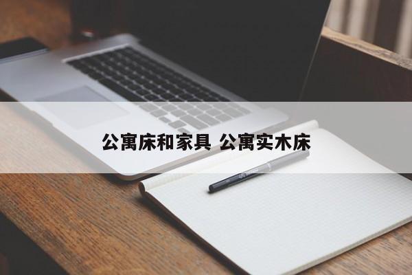 公寓床和家具 公寓实木床